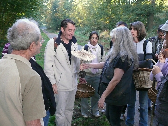 2011 10 02 Baies et champignons 20